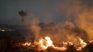 A fire burns a field on a farm in the Nova Santa Helena municipality, in the state of Mato Grosso, Brazil.(AP) A fire burns a field on a farm in the Nova Santa Helena municipality, in the state of Mato Grosso, Brazil.(AP)
