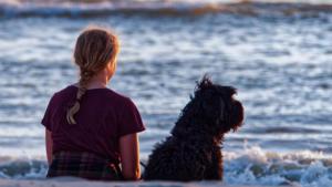 Owning a dog also has been linked to better mental health (representational image).(Unsplash) Owning a dog also has been linked to better mental health (representational image).(Unsplash)