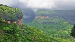 The Western Ghats, spread across six states, have dense, rich forest cover and a large number of endemic species.(ht archive) The Western Ghats, spread across six states, have dense, rich forest cover and a large number of endemic species.(ht archive)