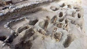 The children who were aged between four and 14, were sacrificed in a ritual to honor the Chimu culture’s gods.(Kashf Rana Twitter) The children who were aged between four and 14, were sacrificed in a ritual to honor the Chimu culture’s gods.(Kashf Rana Twitter)