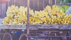 Sale of bananas has been restored at the station.(Representational Image) Sale of bananas has been restored at the station.(Representational Image)