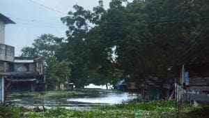 A view of a waterlogged area in Indore. Thousands of trees, large chunk of agriculture land and human settlements are being submerged in Madhya Pradesh reportedly due to rising backwaters of Sardar Sarovar Dam, built on Narmada in Gujarat.(PTI)