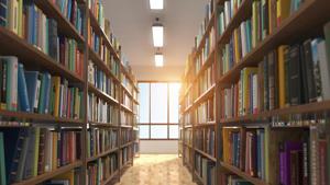 Bathed in sunlight that filters through its red curtains, the DLF-2 community library is a long hall with blue cabinets packed with books from across genres.(Representative Image/Getty Images/iStockphoto) Bathed in sunlight that filters through its red curtains, the DLF-2 community library is a long hall with blue cabinets packed with books from across genres.(Representative Image/Getty Images/iStockphoto)