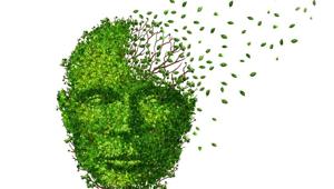 Using data from the Alzheimer’s Disease Neuroimaging Initiative (ADNI), the researchers looked at the satiety hormone, Cholecystokinin (CCK), in 287 people.(Shutterstock) Using data from the Alzheimer’s Disease Neuroimaging Initiative (ADNI), the researchers looked at the satiety hormone, Cholecystokinin (CCK), in 287 people.(Shutterstock)