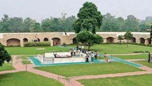 Some former officers of the horticulture wing of the CPWD, the agency which is responsible for maintaining the greenery at Rajghat, said most of the trees died after having lived their full life.(HT Photo) Some former officers of the horticulture wing of the CPWD, the agency which is responsible for maintaining the greenery at Rajghat, said most of the trees died after having lived their full life.(HT Photo)