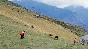 The Auli venue where the wedding of two sons of South Africa-based Gupta Brothers took place in June this year.(HT Photo) The Auli venue where the wedding of two sons of South Africa-based Gupta Brothers took place in June this year.(HT Photo)