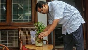 Chief Minister Arvind Kejriwal inspects his home for stagnant water to prevent the spread of mosquito-borne diseases during the launch of a special campaign against dengue, in New Delhi, Sunday.(PTI File Photo) Chief Minister Arvind Kejriwal inspects his home for stagnant water to prevent the spread of mosquito-borne diseases during the launch of a special campaign against dengue, in New Delhi, Sunday.(PTI File Photo)