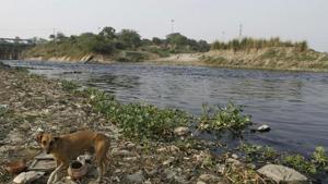 A polluted Najafgarh drain just before it joins the Yamuna river near Wazirabad in New Delhi.(HT File Photo) A polluted Najafgarh drain just before it joins the Yamuna river near Wazirabad in New Delhi.(HT File Photo)