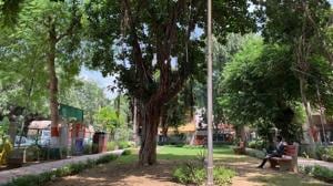 The banyan tree stands in the centre of a neighbourhood park in Gurugram’s Jacobpura.(HT Photo) The banyan tree stands in the centre of a neighbourhood park in Gurugram’s Jacobpura.(HT Photo)