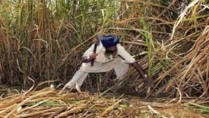 The move comes in the backdrop of the central government’s plan to double farmers’ income by 2022.(Mint File photo) The move comes in the backdrop of the central government’s plan to double farmers’ income by 2022.(Mint File photo)