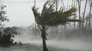 Strong wind from Hurricane Dorian blow the tops of trees while whisking up water from the surface of a canal in Freeport, Grand Bahama, Bahamas, Monday.(AP File Photo) Strong wind from Hurricane Dorian blow the tops of trees while whisking up water from the surface of a canal in Freeport, Grand Bahama, Bahamas, Monday.(AP File Photo)