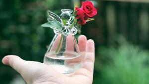 In India, unlike the West, rose is what perfumers would call a gourmand smell or one that reminds us of food. And so, we are reluctant to put it on our bodies.(Unsplash) In India, unlike the West, rose is what perfumers would call a gourmand smell or one that reminds us of food. And so, we are reluctant to put it on our bodies.(Unsplash)
