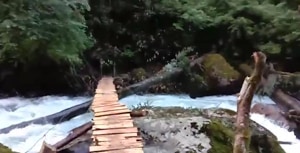 Seen here is the screengrab from the video tweeted by BJP’s Arunachal Pradesh MP. Seen here is the screengrab from the video tweeted by BJP’s Arunachal Pradesh MP.
