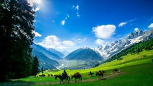 Horses grazing on a hill in Kashmir. The Maharshtra government has decided to set up resorts near Srinagar and at Leh in Ladakh.(Shutterstock Image) Horses grazing on a hill in Kashmir. The Maharshtra government has decided to set up resorts near Srinagar and at Leh in Ladakh.(Shutterstock Image)