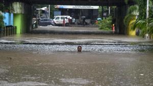 Heavy rains causes water logging at Railway Under Pass Sanpada in Navi Mumbai on Wednesday.(Bachchan Kumar/HT Photo) Heavy rains causes water logging at Railway Under Pass Sanpada in Navi Mumbai on Wednesday.(Bachchan Kumar/HT Photo)