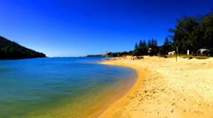 Representational Image of a beach.(Unsplash) Representational Image of a beach.(Unsplash)
