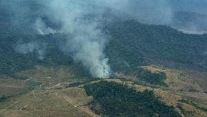 The world’s biggest rainforest, which has been hit by nearly 90,000 fires this year, plays a vital role in the regulation of the world’s climate and water resources.(AP photo) The world’s biggest rainforest, which has been hit by nearly 90,000 fires this year, plays a vital role in the regulation of the world’s climate and water resources.(AP photo)
