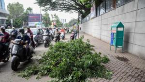 Ever since the Brihanmumbai Municipal Corporation’s (BMC) tree committee had passed the proposal to cut 2,185 trees and transplant 461 trees in Aarey colony on August 29, the city has witnessed several protests opposing the move.(HT Photo) Ever since the Brihanmumbai Municipal Corporation’s (BMC) tree committee had passed the proposal to cut 2,185 trees and transplant 461 trees in Aarey colony on August 29, the city has witnessed several protests opposing the move.(HT Photo)