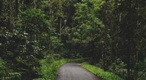 Urban heat islands are a phenomenon where the temperature in a city is noticeably higher than in the surrounding rural area.(Unsplash) Urban heat islands are a phenomenon where the temperature in a city is noticeably higher than in the surrounding rural area.(Unsplash)