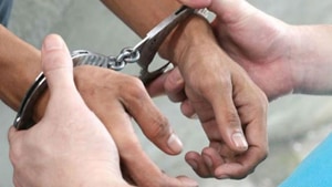 A crime branch official said the consignment was being smuggled to Hong Kong where it is in huge demand and also known as ‘red gold’.(HT image) A crime branch official said the consignment was being smuggled to Hong Kong where it is in huge demand and also known as ‘red gold’.(HT image)
