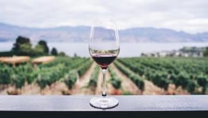We’ve all had struggles while trying to pair wine and food.(Unsplash) We’ve all had struggles while trying to pair wine and food.(Unsplash)