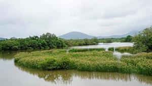 The river Kali flows from the east-west direction on the northern side of the project site, which is adjoining the Dandeli-Anshi Tiger Reserve.(HT FILE) The river Kali flows from the east-west direction on the northern side of the project site, which is adjoining the Dandeli-Anshi Tiger Reserve.(HT FILE)