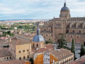 An aerial view of Salamanca from the university tower(Saubhadra Chatterji) An aerial view of Salamanca from the university tower(Saubhadra Chatterji)