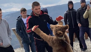 Khabib wrestles a bear.(@khabib_nurmagomedov)