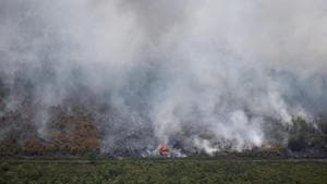 A wooden hut burns due to a forest fire in Palangka Raya, Central Kalimantan province, Indonesia.(REUTERS) A wooden hut burns due to a forest fire in Palangka Raya, Central Kalimantan province, Indonesia.(REUTERS)