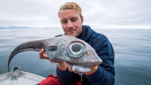 The fish is identified as a ratfish.(Facebook/Ernesto Murguía) The fish is identified as a ratfish.(Facebook/Ernesto Murguía)