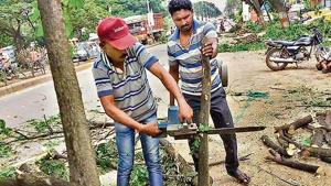 The work, however, was only done on one side of the road which was used by the CM. That, according to Athawale, was merely due to lack of time.(HT FILE) The work, however, was only done on one side of the road which was used by the CM. That, according to Athawale, was merely due to lack of time.(HT FILE)