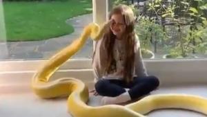 Shared on September 12, the video has gathered more than 11 millions views – and still counting.(Twitter/Pearly Pops) Shared on September 12, the video has gathered more than 11 millions views – and still counting.(Twitter/Pearly Pops)