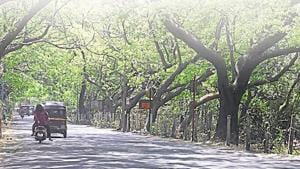 The construction of a car depot at Aarey Colony for the Metro project has been opposed by environmentalists, local citizens, students and politicians.(HT FILE)