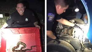 The post has collected a ton of reactions since it was shared on Facebook.(Facebook/Shelby Township Police Department) The post has collected a ton of reactions since it was shared on Facebook.(Facebook/Shelby Township Police Department)