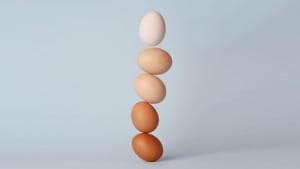 The man didn’t realise the eggs had fallen and he continued his drive (representational image).(Unsplash)