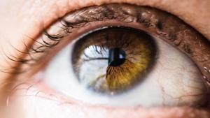 OCT takes cross-sectional high-resolution images of the eye, showing different tissue layers.(Unsplash) OCT takes cross-sectional high-resolution images of the eye, showing different tissue layers.(Unsplash)