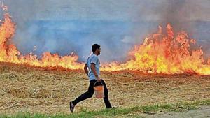 Stubble burning is one of the major sources of pollution in the national capital during winter season. Stubble burning is one of the major sources of pollution in the national capital during winter season.