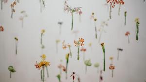 How to use lavendar, ylang ylang, jasmine and other fragrances to uplift your mood.(Unsplash) How to use lavendar, ylang ylang, jasmine and other fragrances to uplift your mood.(Unsplash)