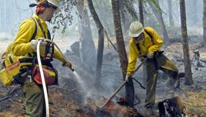 DSSSB Recruitment: 706 fire operators required in New Delhi(HT file) DSSSB Recruitment: 706 fire operators required in New Delhi(HT file)