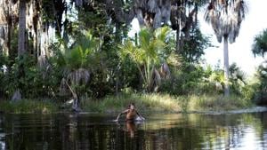 Nearly 2%, or 13,000 sq km, of India’s total forest area is occupied by encroachers, the environment ministry has said(REUTERS) Nearly 2%, or 13,000 sq km, of India’s total forest area is occupied by encroachers, the environment ministry has said(REUTERS)