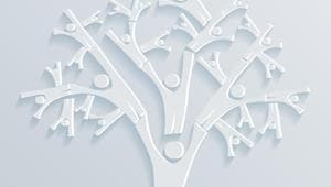 When we examined how family-owned businesses are managed, another clear distinction became apparent. In developed countries like the US, UK and Germany, they are not often owner-managed(SHUTTERSTOCK) When we examined how family-owned businesses are managed, another clear distinction became apparent. In developed countries like the US, UK and Germany, they are not often owner-managed(SHUTTERSTOCK)