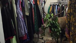 A deer stands by clothes after crashing into a shop.(AP) A deer stands by clothes after crashing into a shop.(AP)