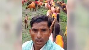 Till now, the video has collected over 1 lakh views - and still counting.(Twitter/@pratyasharath) Till now, the video has collected over 1 lakh views - and still counting.(Twitter/@pratyasharath)