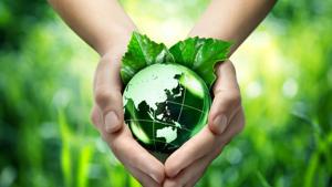 Students from Delhi-NCR region created two Guinness Book world records for environment protection. (Representational image)(Getty Images/iStockphoto) Students from Delhi-NCR region created two Guinness Book world records for environment protection. (Representational image)(Getty Images/iStockphoto)