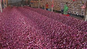 Maharashtra’s Lasalgaon mandi sets price trend across the country. Any fluctuation in this market reflects in other parts of the country.(Bachchan Kumar/HT File Photo) Maharashtra’s Lasalgaon mandi sets price trend across the country. Any fluctuation in this market reflects in other parts of the country.(Bachchan Kumar/HT File Photo)