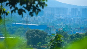 A view of the Aarey Colony(Pramod Thakur / HT Photo) A view of the Aarey Colony(Pramod Thakur / HT Photo)