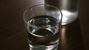 The ability of the kidney to maintain water balance is vital to our health.(Unsplash) The ability of the kidney to maintain water balance is vital to our health.(Unsplash)