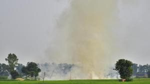 With paddy harvest underway, approximately 350 cases of stubble burning have been reported from the state.(HT FILE) With paddy harvest underway, approximately 350 cases of stubble burning have been reported from the state.(HT FILE)