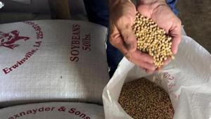 Centre for Vedic Science will research agricultural practices of the Vedic era and take them to the farmers of today. (Representational image)(REUTERS) Centre for Vedic Science will research agricultural practices of the Vedic era and take them to the farmers of today. (Representational image)(REUTERS)