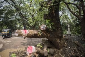 The Aarey forest lost 2,141 trees in the span of two nights and a day over the weekend. The site resembled a war zone.(HT file photo)